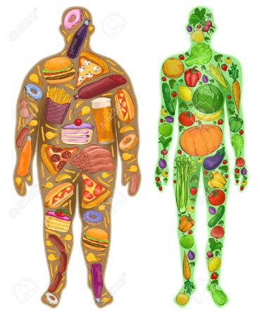 50549801-Human-thin-fat-Nutrition-food-New-illustration-Stock-Vector-obesity